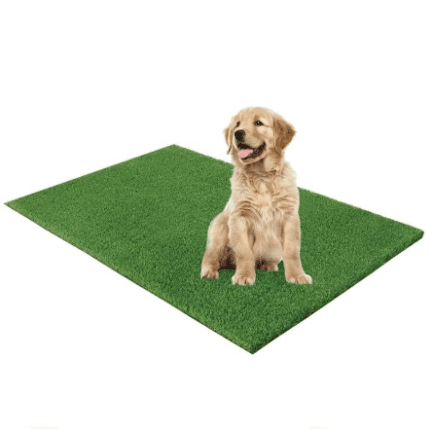 Artificial Grass | Buy Fake Grass & Artificial Turf Online