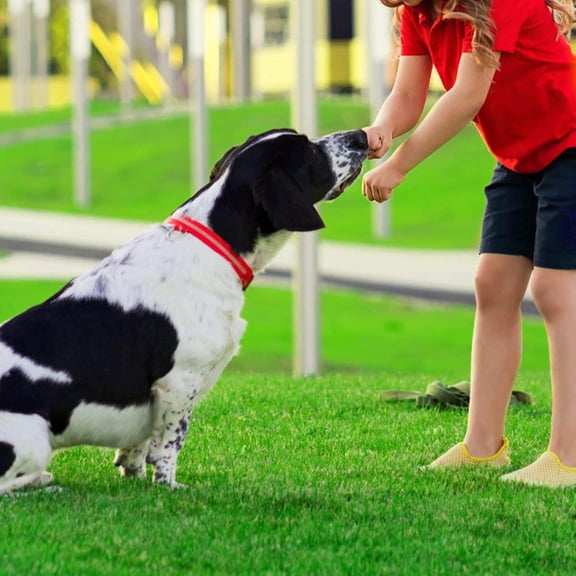 Artificial Grass Astroturf Rug 4 FT 10 in * 8 FT, Realistic Fake Grass Mat with Drainage, Indoor Outdoor Lawn Turf for Pets Dogs, Garden, , Balcony, Backyard, Custom Size
