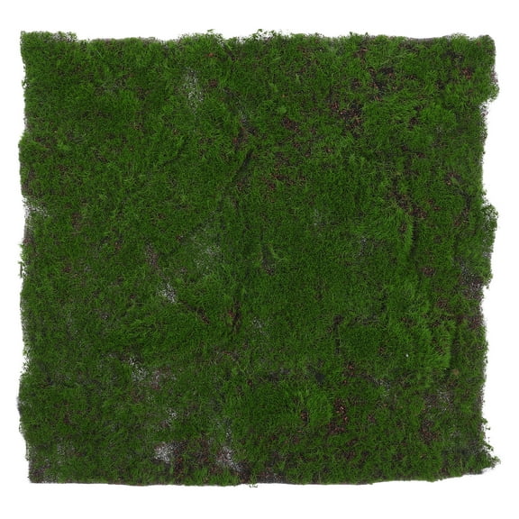 Homoyoyo Plastic Artificial Grass Turf for Garden Decoration with Realistic Appearance