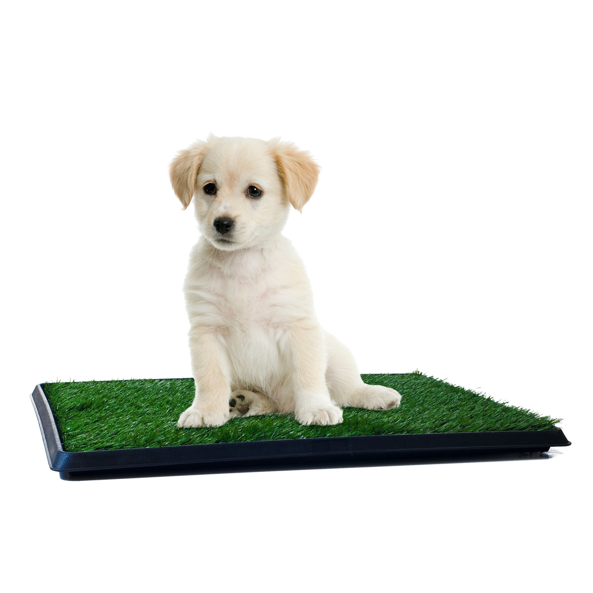 Artificial Grass Puppy Pee Pad for Dogs and Small Pets - 16x20 Reusable 3-Layer Training Potty Pad with Tray - Dog Housebreaking Supplies by PETMAKER