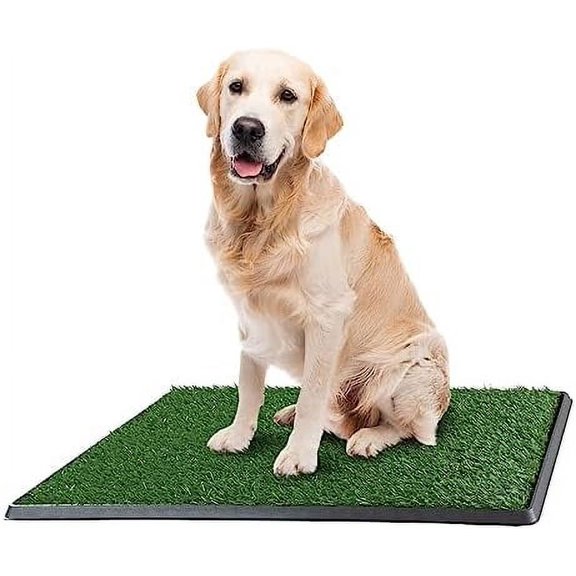 Artificial Grass Puppy Pee Pad for Dogs and Small Pets - 20x30 Inch, Reusable 3-Layer Turf Pads for Dogs with Tray - Indoor and Outdoor Fake Grass Potty Pet Supplies by