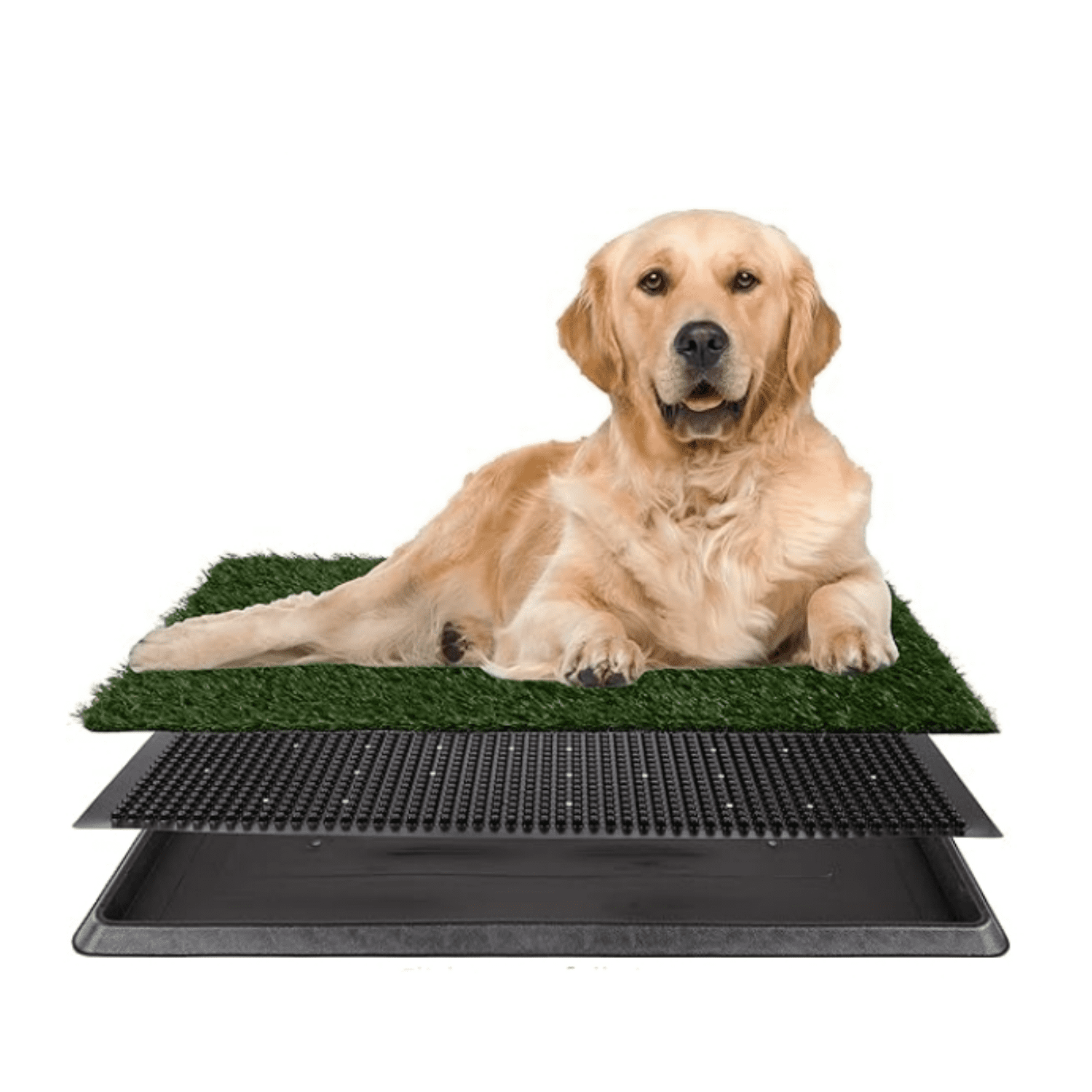 Artificial Grass Puppy Pee Pad for Dogs and Small Pets - 20x30 Reusable 3-Layer Potty Training Pad with Tray - Dog House and Pet Supplies by PETMAKER