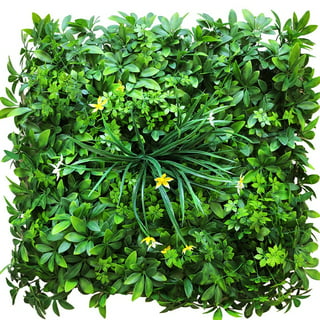 Buy BeautifulWalls Plastic Artificial Wall Grass For Home Decoration (9  Pcs) I Grass Mat For Wall I Vertical Garden Artificial Wall Plants (Dark  Green, 60Cm X 40Cm X 3Cm, Pack Of 9)