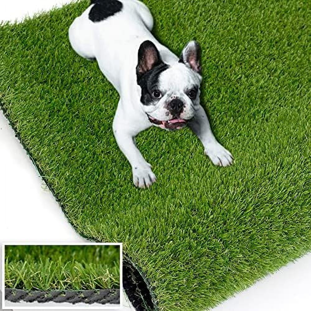 Artificial Grass Turf 6FT X 6FT, 0.8" Thick Realistic Synthetic Fake