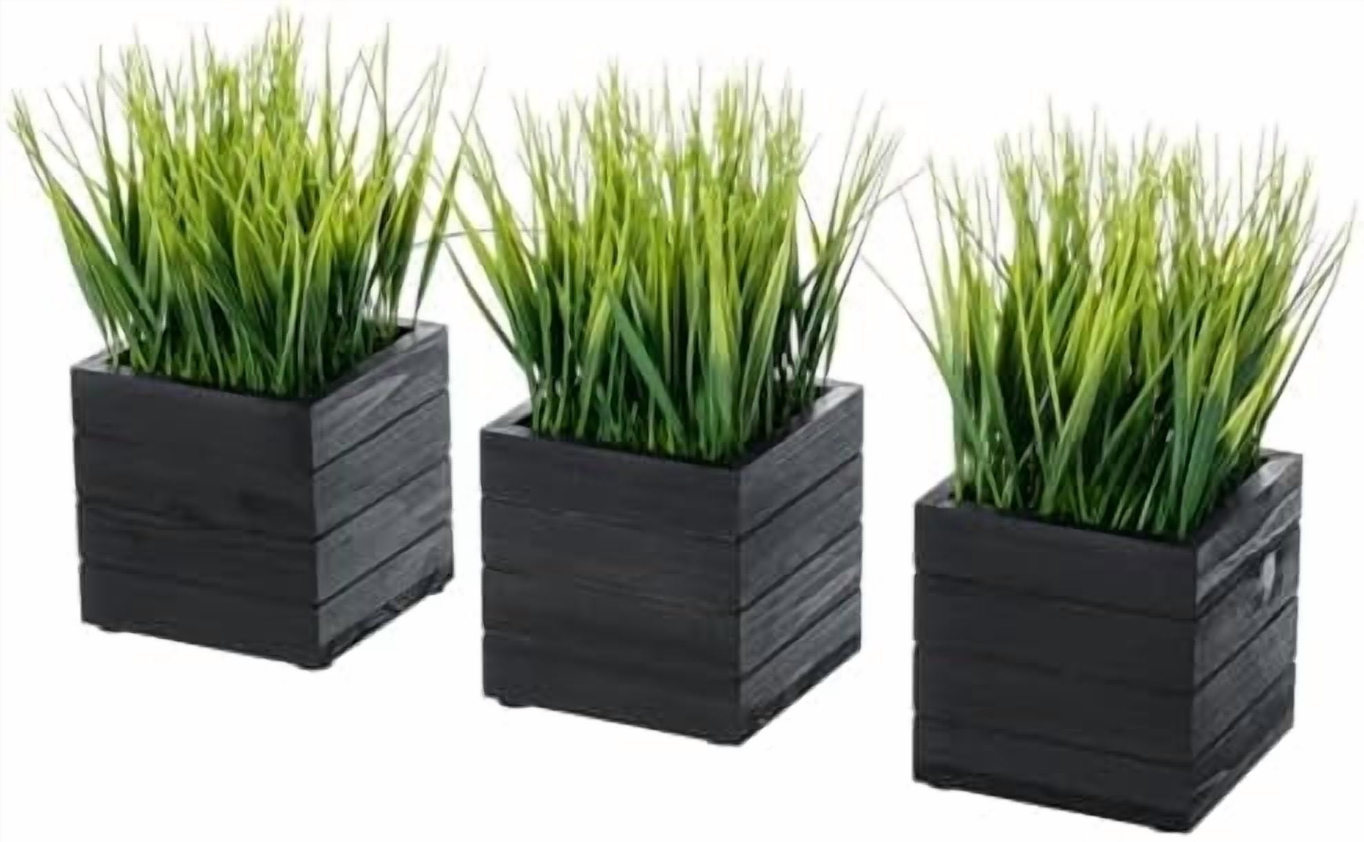 Artificial Green Grass Plants in Vintage Black Wood 4 Inch Planter ...