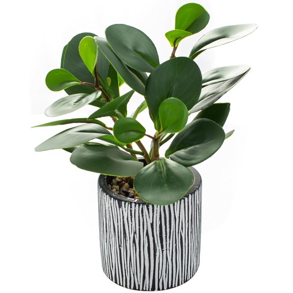 Artificial Green Greenery Plant 8" H with Rustic Black Clay Planter for Table Decor