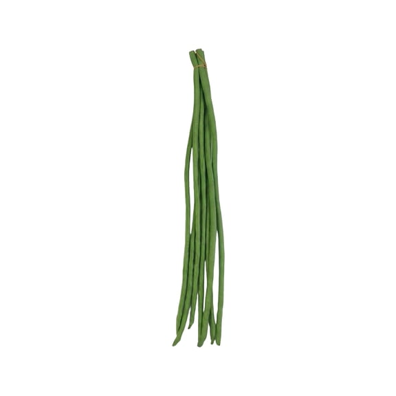 Artificial Green Long Beans Style Cat Chew Toy, Adorable Green Vegetables Design, Soft Anti-Bite Cat Toys for Relieving Boredom Cleaning Teeth Play, 6.5in