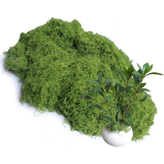 Artificial Green Moss, 3.53 Oz Fake Preserved Moss for Indoor Potted Plants, DIY Crafts, Terrariums, Model Making, Wall & Home Decor