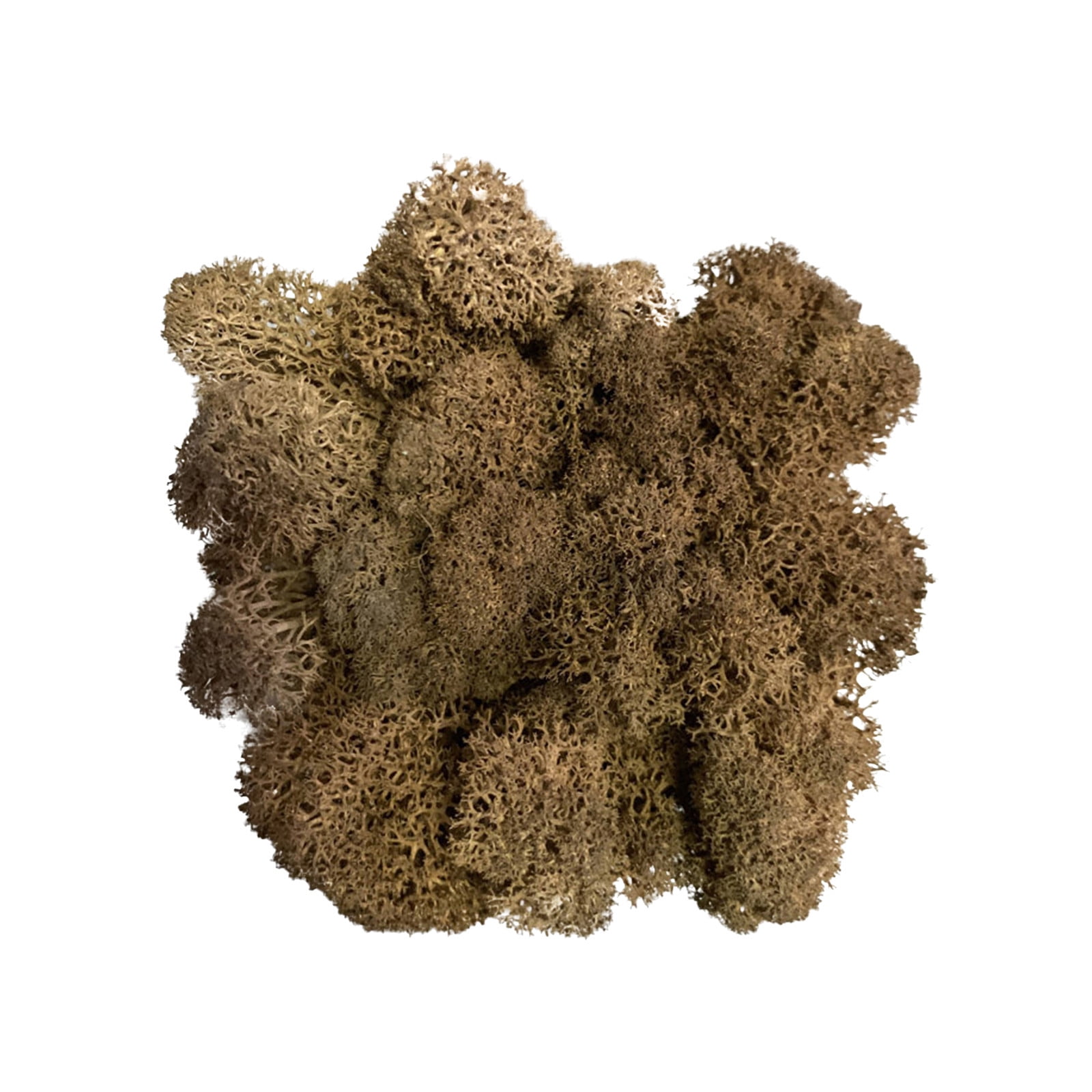 Artificial Green Plant Immortal Fake Flower Moss Grass for Home Living