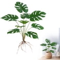 thumbnail image 1 of Artificial Green Plant Has Nine and Six Heads and Leaves Reminiscent Of A Turtle'S Back, Including As Wall Coverings, Houseplants, Interior Decorations, and Floor Decorations, 1 of 9