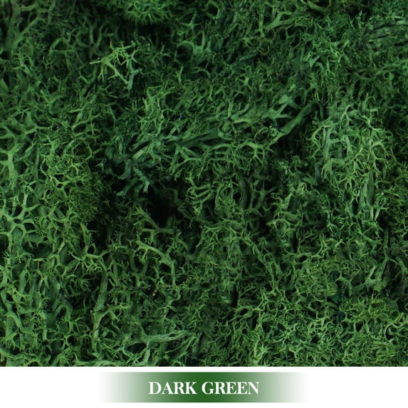 Artificial Green Plants Eternal Life Moss DIY Grass Garden Crafts Home Room Decor Mini Landscape Fake Grass 20/1000g