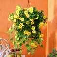 thumbnail image 1 of Artificial Hanging Flowers for Outdoors, Yellow Silk Morning Glory Fake Flowers UV Resistant Faux Petunias Hanging Artificial Plants Trailing Vines for Porch Garden Spring Summer Planter Decor, 1 of 5