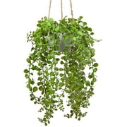 Artificial Hanging Plants 14 inch Fake Greenery Succulent Potted Plant Ceramic Planter for Home Wall Indoor Outdoor Decor