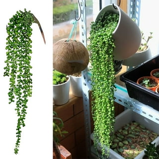 1Pc Faux Plants Indoor Artificial String of Pearls Plant Realistic Green  Fake Hanging Plants For Shelf Decor Desk Home Garden Decorations