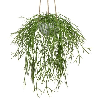 Coolmade 4 Pack Artificial Wall Hanging Plants Artificial Ivy Fake Hanging Vine  Plants Decor Plastic Greenery for Home Wall Indoor Outdside 