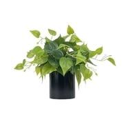 Artificial Indoor for Home Decor, 14.17 Inch Pothos in Black Ceramic Pot, Potted for Shelf Table Office Living Room Bedroom Decoration