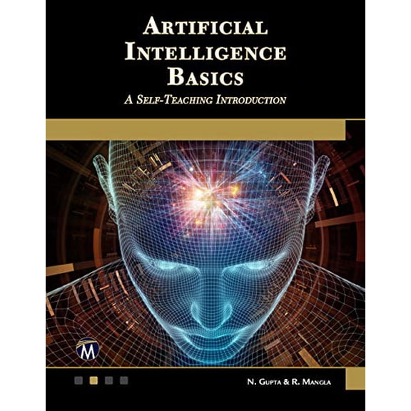 Pre-Owned Artificial Intelligence Basics: A Self-Teaching Introduction (Paperback) 1683925165 9781683925163