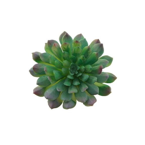 Artificial Irish Mint Succulent with Stem