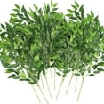 thumbnail image 1 of Artificial Italian Ruscus Greenery Stems 27in Faux Green Leaf Garland Branches Hanging Greenery Spray for Wedding Bouquet,Arch,Table Centerpieces and Home Decor A, 1 of 5