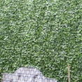 thumbnail image 1 of Artificial Ivy Wall Panels, 1 of 8