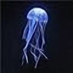 Artificial Jellyfish Aquarium Decoration, 5 inch Floating Silicone Fish Tank Ornament (BLUE)