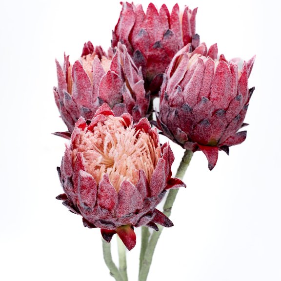 Artificial King Protea Flowers Tropic Wedding Centerpiece 4 Pack