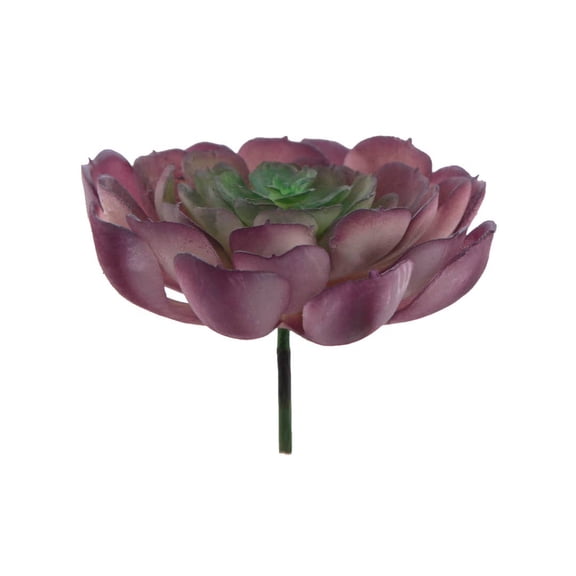 Artificial Large Echeveria with Stem