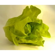 Artificial Lettuce Head 5"