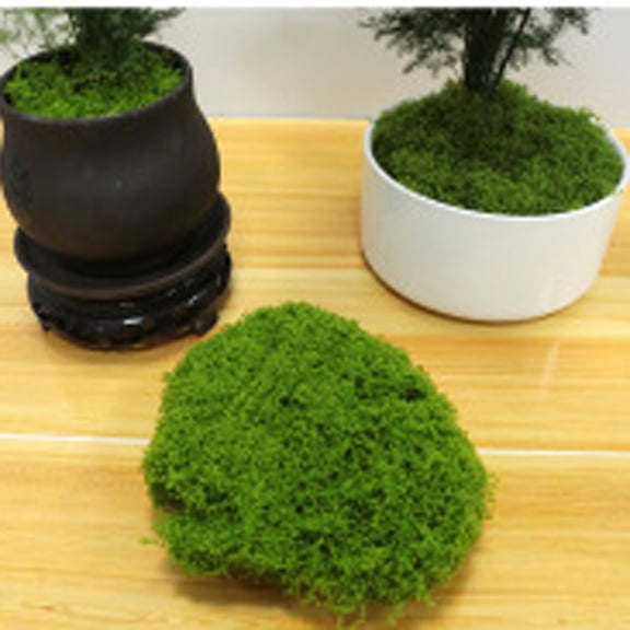 Artificial Light Green Moss is Used for Handicrafts, Artificial Moss, Glass Vase Fillers, Wedding/Spring Green Parties/Indoor Flower Pots/DIY Rainforest Models/Table Decoration (30g)