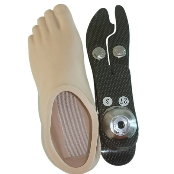 Artificial Limbs for Amputee,Prosthetic leg below knee,Stainless steel head Carbon Fiber Artificial Leg Carbon fiber prosthetic foot