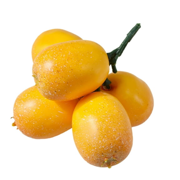 Artificial Loquat Decorative Loquat Fruit Model For Creatived Home And Business Decoration Projects