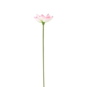 Artificial Lotus Flower Stem for Home Decor   Realistic Pink Fake Lotus with Lifelike Details, 31.49 Inches Tall, Plastic, 1 Piece, Spring Summer Pond or Vase Display