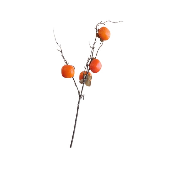Artificial Lychee Branches 28 Inch, Faux Fruit Tree with Realistic Orange Berries for Wedding Decor, Home Centerpiece, Window Display, and Photography Props