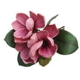 thumbnail image 1 of Artificial Magnolia Flowers Long Stems Silk Magnolia Flowers Bouquet Faux Magnolia Stem Flower for Home Office Table Wedding Holidays Party Decor B, 1 of 4