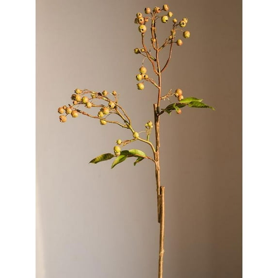 Artificial Malus Baccata Stem in Green 22" Tall
