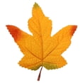 thumbnail image 1 of Artificial Maple Leaves, 10 Colors Assorted Fall Leaves Thanksgiving Decor, Seasonal Foliage, Artificial Fall Leaf Stem, Household and Event Layout Accessory, Party Table Decor Crafts, 4.7"×3.9",F, 1 of 4