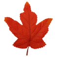 thumbnail image 1 of Artificial Maple Leaves, Colors Assorted Fall Leaves Thanksgiving Decor, Seasonal Foliage, Artificial Fall Leaf Stem, Household and Event Layout Accessory, Party Table Decor Crafts, 4.7"×3.9",E*3, 1 of 3