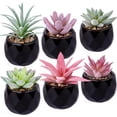 thumbnail image 1 of Artificial Mini Succulents 6 Packs Faux Succulents in Ceramic Pots Fake Greenery Plant for Home Decor, 1 of 5