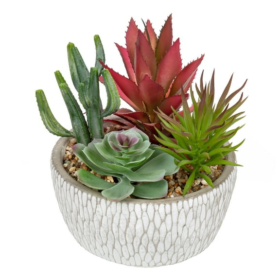 Artificial Mixed Succulents Plants in White Cement Planter Assorted Fake Succulents Plant Arrangements in Pots Faux Succulent Plants Potted Home Decor
