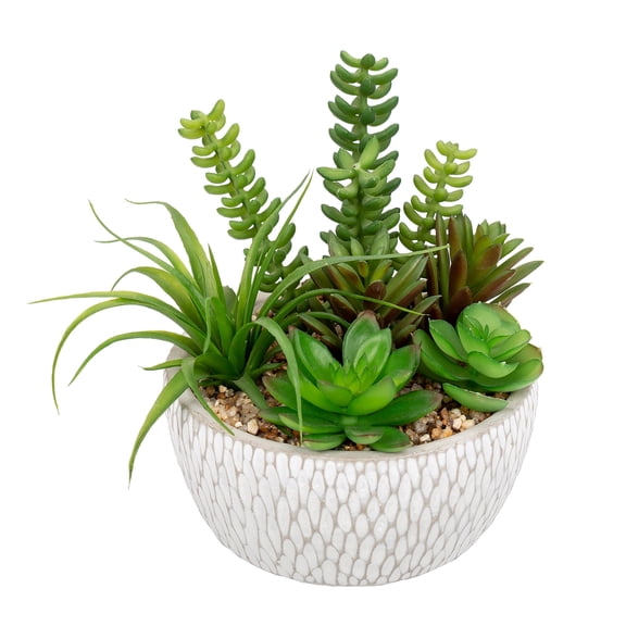 Artificial Mixed Succulents Plants in White Cement Planter Assorted Fake Succulents Plant Arrangements in Pots Faux Succulent Plants Potted Home Decor
