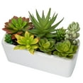 thumbnail image 1 of Artificial Mixed Succulents Plants in White Ceramic Planter Assorted Fake Succulents Plant Arrangements in Pots Faux Succulent Plants Potted Home Decor, 1 of 6
