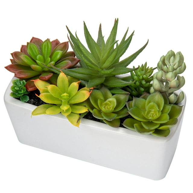 Artificial Mixed Succulents Plants in White Ceramic Planter Assorted Fake Succulents Plant Arrangements in Pots Faux Succulent Plants Potted Home Decor