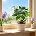thumbnail image 1 of Artificial Money Tree Bonsai, 9.84 in Faux Potted Plants for Desk Shelf Office Bathroom Decor, Green, 1 of 6