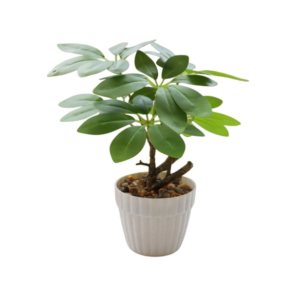 Artificial Money Tree Bonsai In Plastic Pot Green Faux Plant For Tabletop Decor 9.84in Tall 1 Count