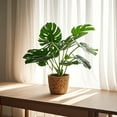 thumbnail image 1 of Artificial Monstera Deliciosa Plant with Woven Basket Realistic Faux Greenery for Home and Office Decor, 24 Inches Tall, 1 of 6