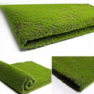 20/50g Artificial Moss Fake Plants Faux Green Moss for Micro