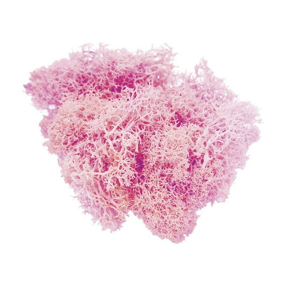 Artificial Moss Flower Material Wedding Banquet Garden Decoration Rose Flower Gift Decoration Gift Box Moss Decoration light pink