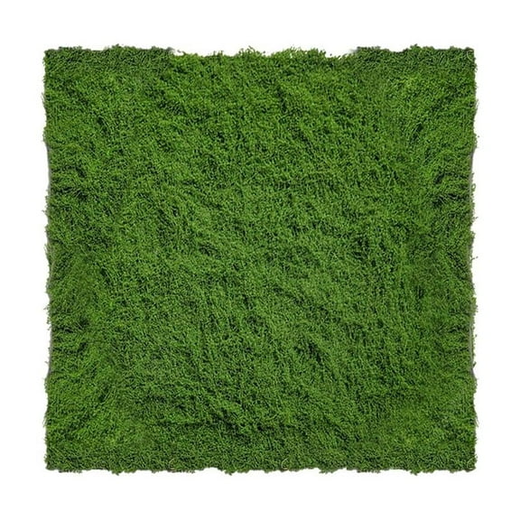Artificial Moss Green DIY Craft Mini Fake Lichen Grass Dec NEW Plant X9Q0