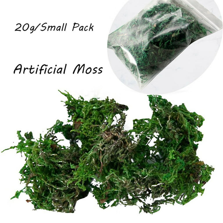  Artificial Fake Moss Aftificial Green Moss Artificial Moss  Lichen for Plant, Garden Lawn Crafts Wedding Decor (20g/ Small Pack) : Home  & Kitchen