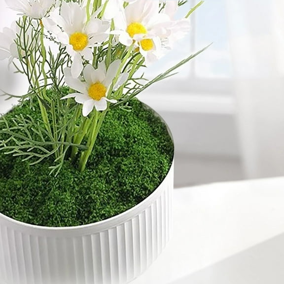 Artificial Moss Mat Faux Green Moss Panel For Diy Garden Wall Bonsai Table Centerpiece Home Decor
